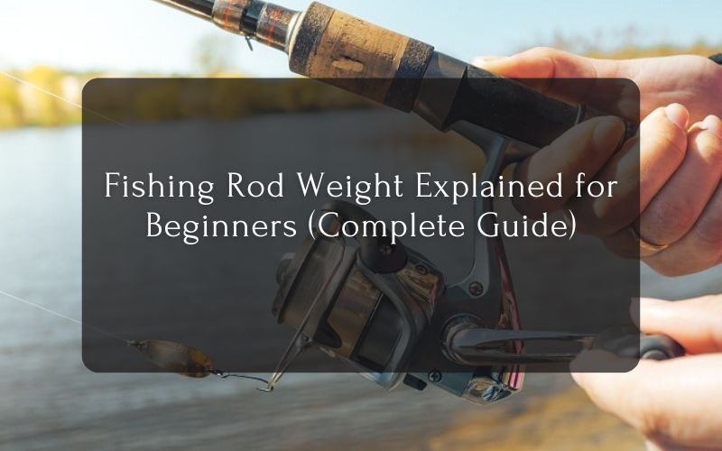 Fishing Rod Weight Explained for Beginners (Complete Guide)