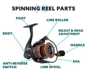 8-Parts-Of-A-Spinning-Reel-Quick-Guide-For-Beginners-1 