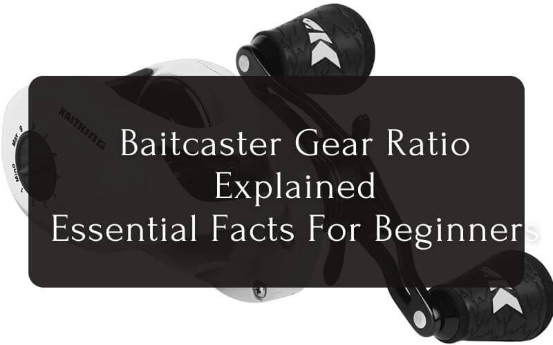 Baitcaster-Gear-Ratio-Explained-Essential-Facts-For-Beginners-2
