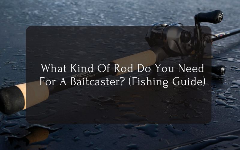 What Kind Of Rod Do You Need For A Baitcaster (Fishing Guide)