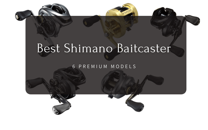 Best Shimano Baitcaster