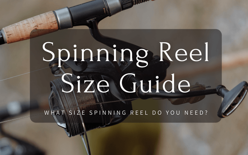 Spinning Reel Size Guide