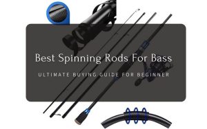 Top 7 Best Spinning Rods For Bass (Detailed Buying Guide For Beginner)