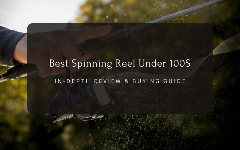 Best Spinning Reel Under 100$