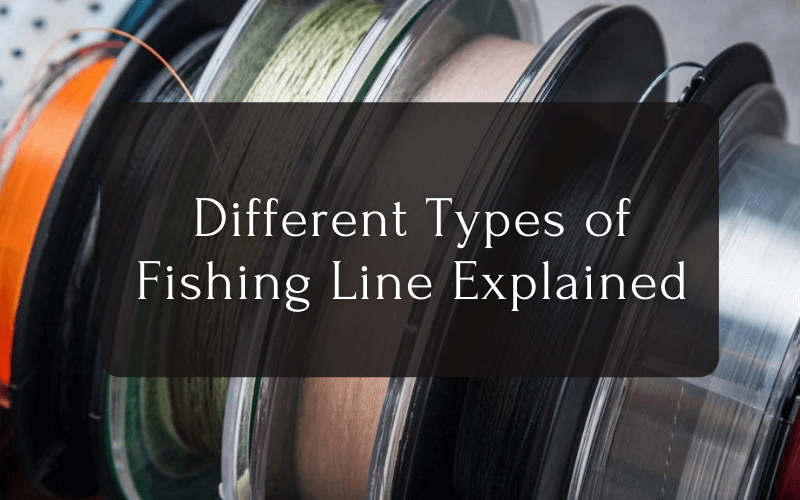 Different Types of Fishing Line Explained