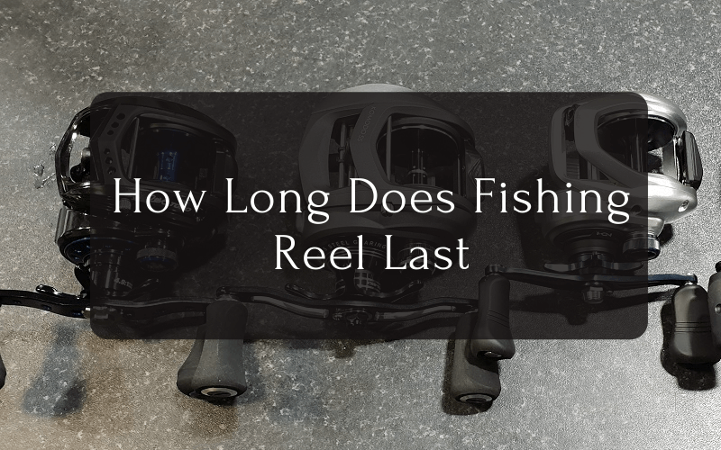How Long Does Fishing Reel Last