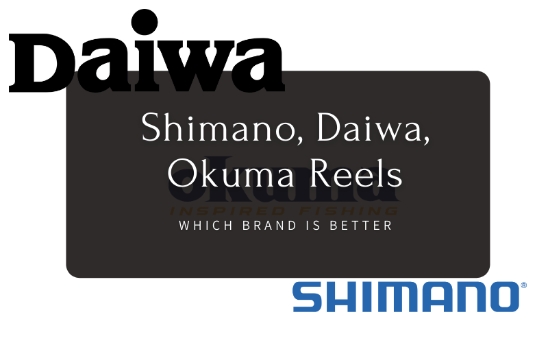 Shimano, Daiwa, Okuma Reels Which Brand Is Better