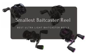 Smallest Baitcaster Reel – Top 6 Small Baitcasting Reels