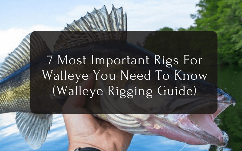 7 Most Important Rigs For Walleye You Need To Know