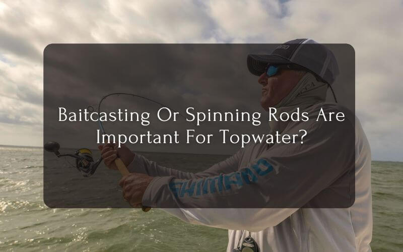 Baitcasting Or Spinning Rods For Topwater