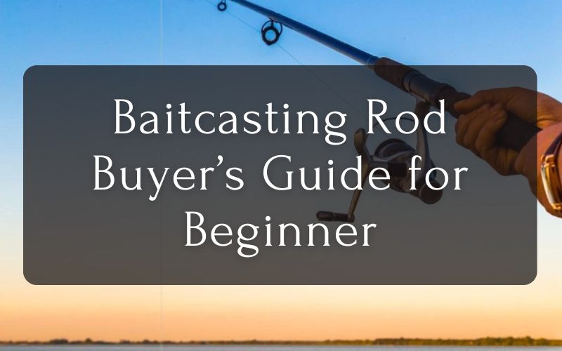 Baitcasting Rod For Beginners