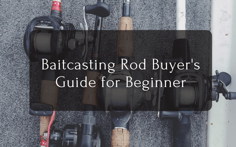 Baitcasting Rod Buyer's Guide for Beginner