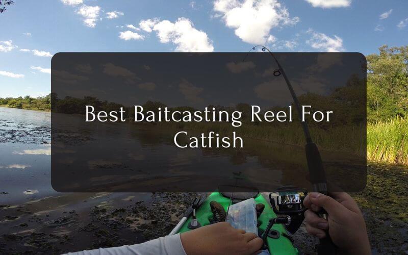 Best Baitcasting Reel For Catfish Top 10 Baitcaster Catfish Reels
