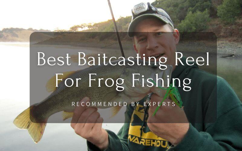 Best Baitcasting Reel For Frog Fishing 6 Top Frog Reel Picks