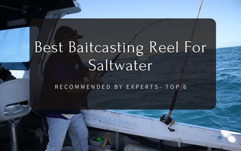 Best Baitcasting Reel For Saltwater Top 6 best saltwater baitcasting reels
