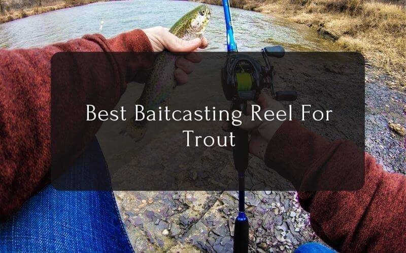 Best Baitcasting Reel For Trout Top 10 Trout Bait Casting Reels