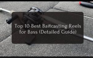 Best Baitcasting Reels for Bass