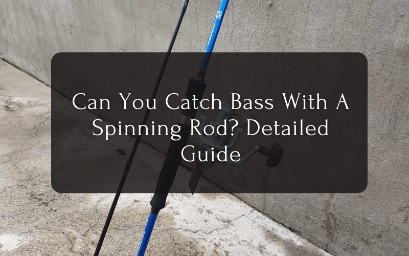 Can You Catch Bass With A Spinning Rod