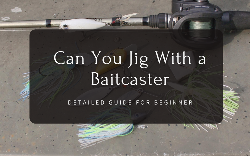 Can You Jig With a Baitcaster Detailed Guide for Beginner