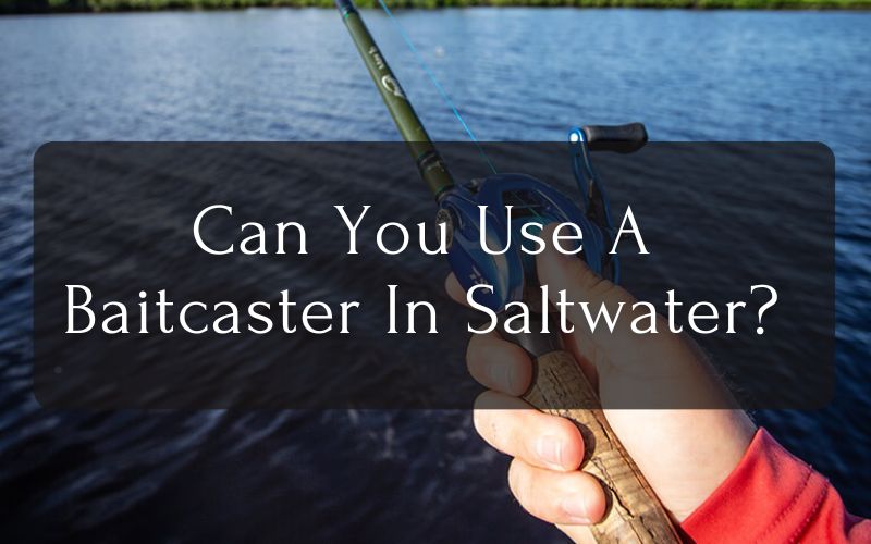 Can You Use A Baitcaster In Saltwater
