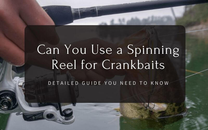 Can You Use a Spinning Reel for Crankbaits (Detailed Guide You Need To Know)