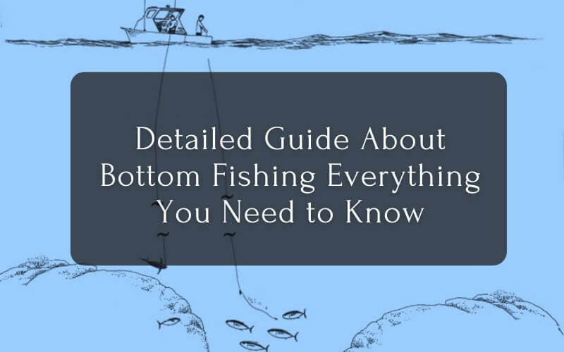 Detailed Guide About Bottom Fishing Everything You Need to Know