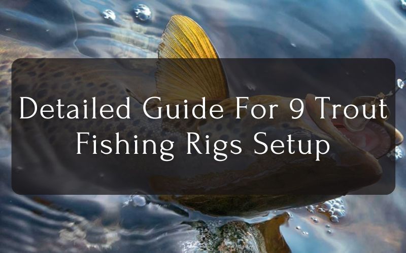 Detailed Guide For 9 Trout Fishing Rigs Setup