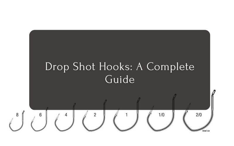 Drop Shot Hooks