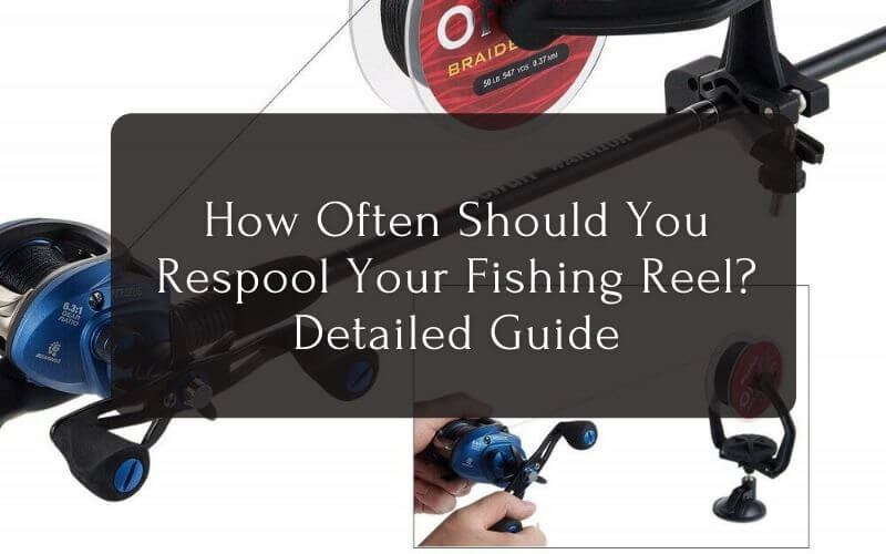 How Often Should You Respool Your Fishing Reel