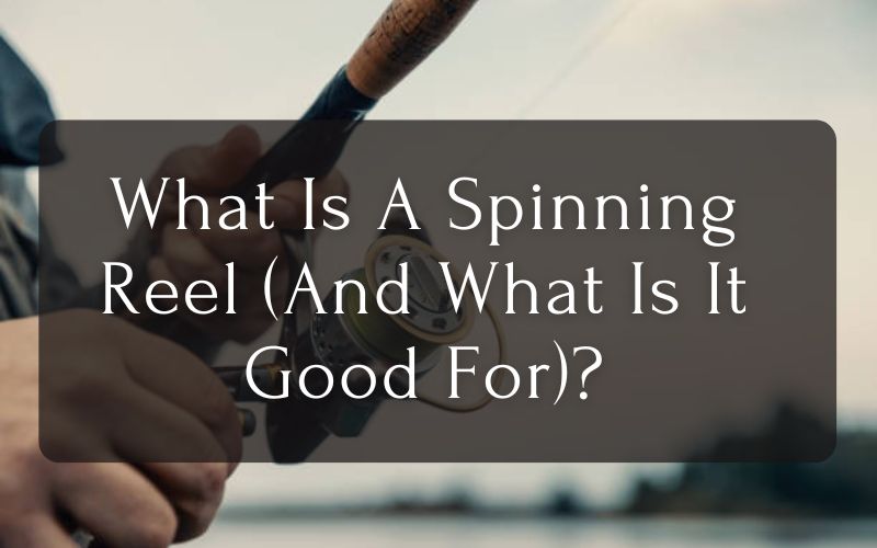 What Is A Spinning Reel (And What Is It Good For)?