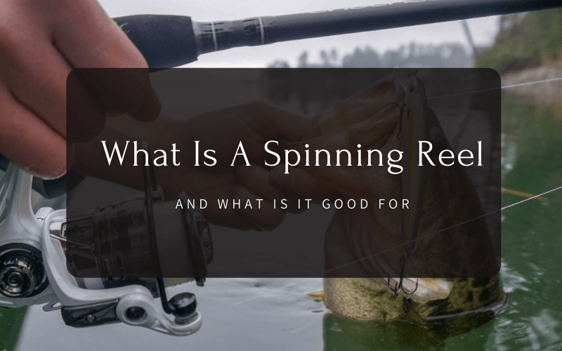 What Is A Spinning Reel