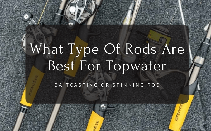 What Type Of Rods Are Best For Topwater Baitcasting Or Spinning Rod