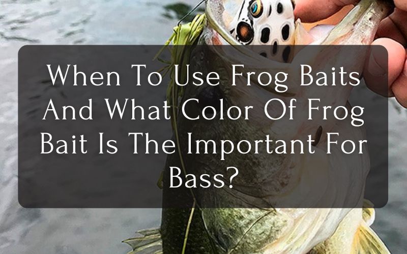 When To Use Frog Baits For Bass And What Color Of Frog Bait Is The Important