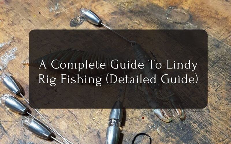 Guide To Lindy Rig Fishing