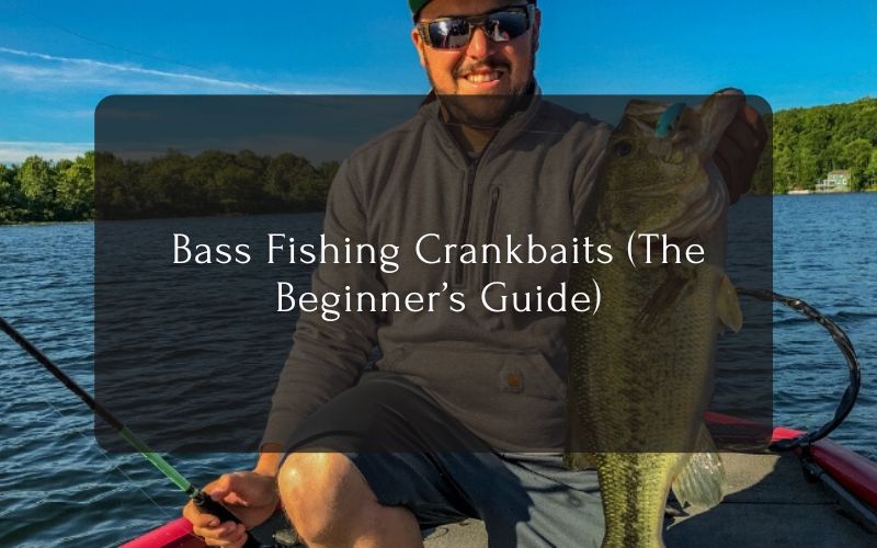 Bass Fishing Crankbaits (The Beginner’s Guide)