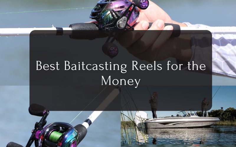 Best Baitcasting Reels for the Money