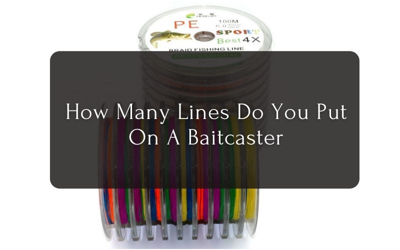 How Many Lines Do You Put On A Baitcaster