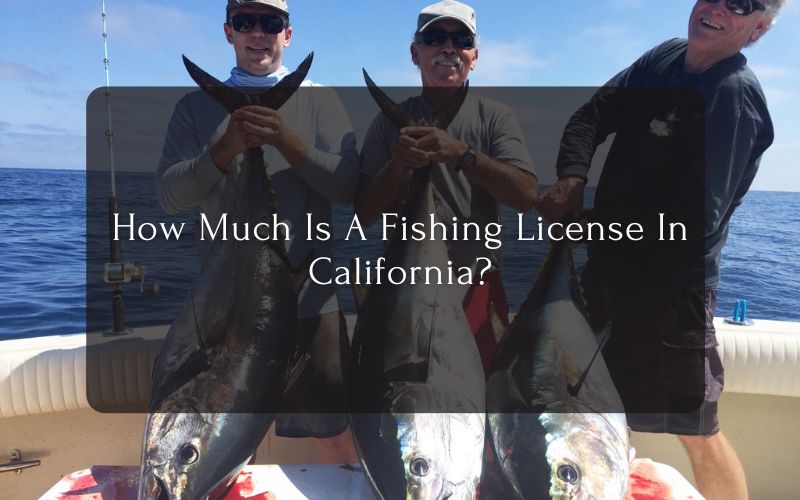 How Much Is A Fishing License In California