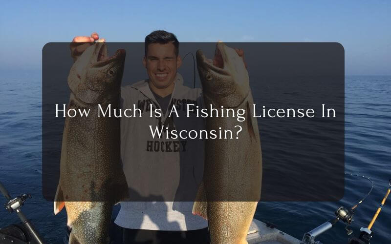 How-Much-Is-A-Fishing-License-In-Wisconsin