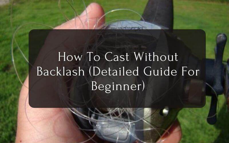 How To Cast Without Backlash