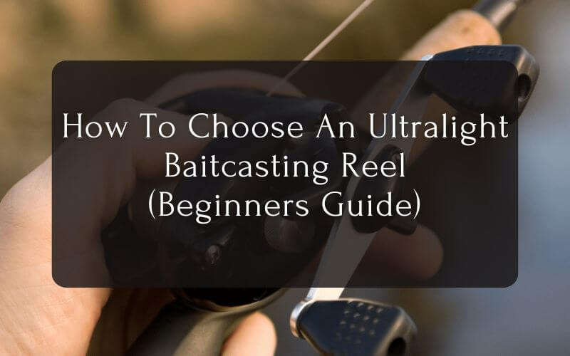 How To Choose An Ultralight Baitcasting Reel