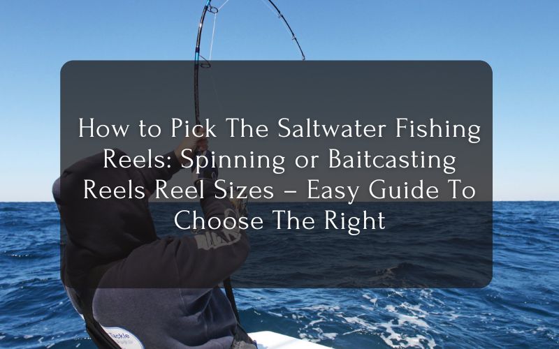 How to Pick The Saltwater Fishing Reels Spinning or Baitcasting Reels