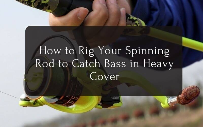 How to Rig Your Spinning Rod to Catch Bass in Heavy Cover