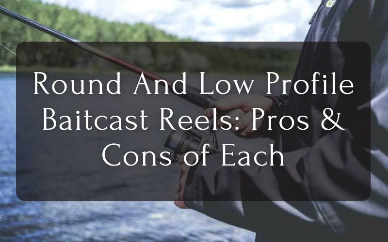 Round And Low Profile Baitcasting Reels Pros and Cons of Each