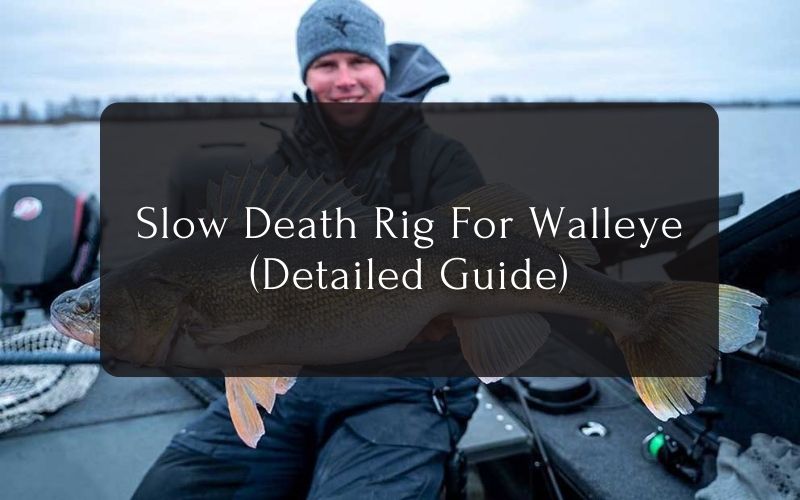 Slow Death Rig For Walleye