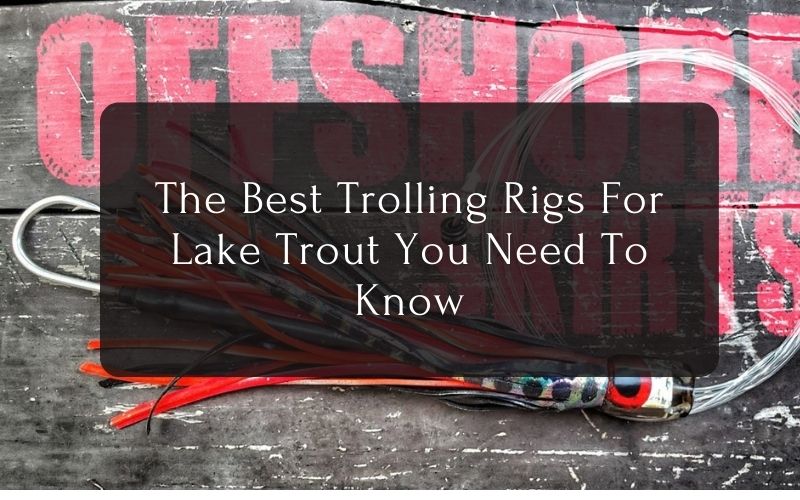 The Best Trolling Rigs For Lake Trout You Need To Know