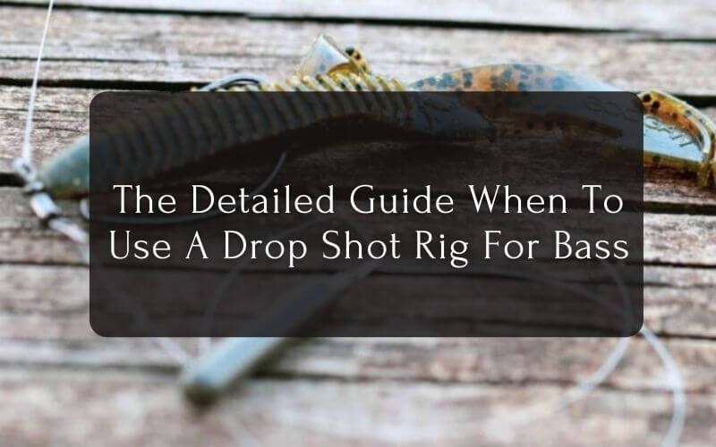 The Detailed Guide When To Use A Drop Shot Rig For Bass