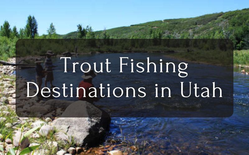 Trout Fishing Destinations in Utah
