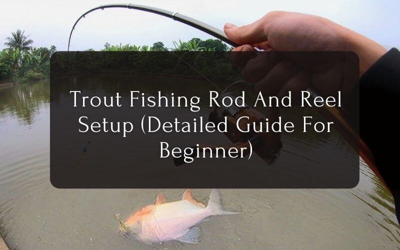 Trout Fishing Rod And Reel Setup