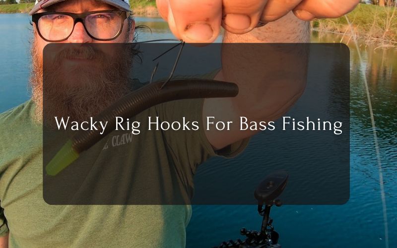 Wacky Rig Hooks For Bass Fishing